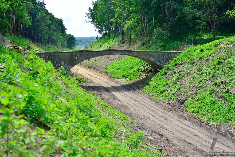 201306020001.JPG