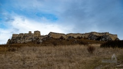 20160223_1409_012.jpg