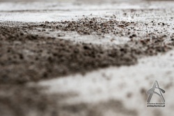 20160417_1320_027.jpg