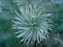 200501160015.jpg