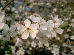 200504270004.jpg
