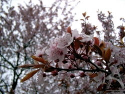 200505010046.jpg