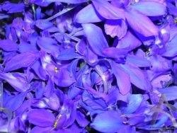 200506300040.jpg