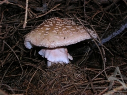 200508070076.jpg