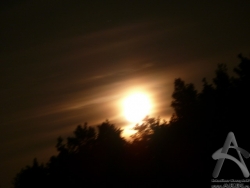 200708240038.jpg