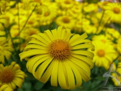 200805030104.jpg