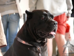 200808290069.jpg