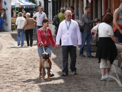 200808300056.jpg