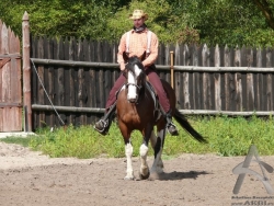 200808300067.jpg