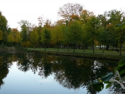 200810110154.jpg