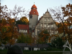 200810110176.jpg