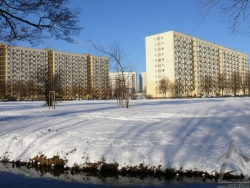 200901040027.jpg