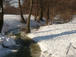 201001240009.jpg