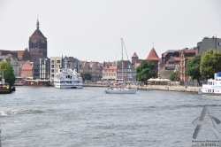201007170006.jpg