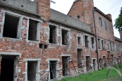 201008080018.jpg