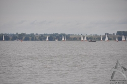 201008280028.jpg