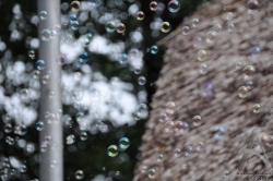201008280036.jpg