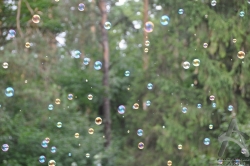 201008280039.jpg