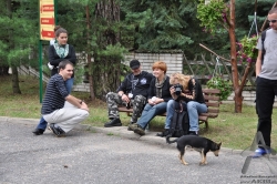 201008280068.jpg