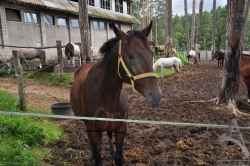 201008280101.jpg
