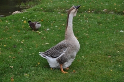201009180099.JPG