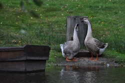 201009180140.JPG