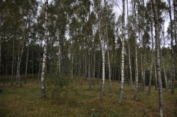 201009180154.JPG