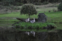 201009180191.JPG