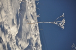 201012290019.jpg