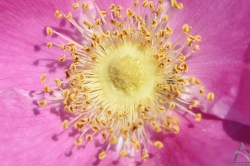 201106050005.jpg