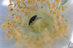 201106050074.jpg