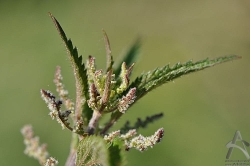 201106250001.jpg