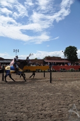 201106250023.jpg