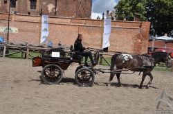 201106250071.jpg