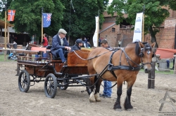 201106250172.jpg