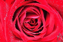 201107280002.jpg