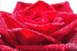 201107280003.jpg