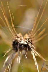 201108140065.jpg