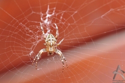 201108270162.jpg