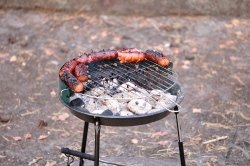 201108270177.jpg