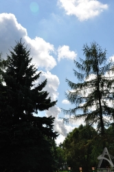 201108280323.jpg