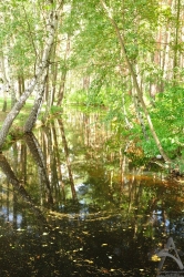 201108280324.jpg