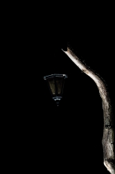 201109170116.JPG