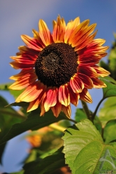 201110080008.jpg