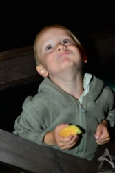 201208310007.jpg