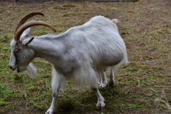 201209010065.jpg
