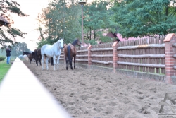 201209010358.jpg