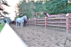 201209010359.jpg