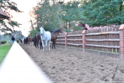 201209010360.jpg