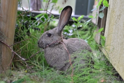 201209220026.JPG